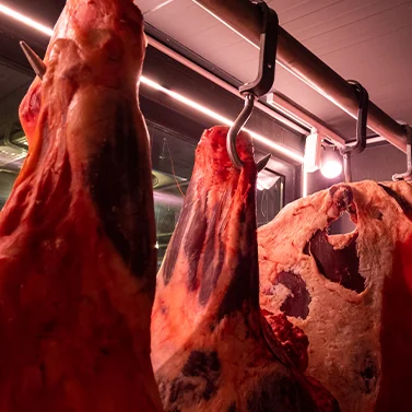 dry edge kasapi plovdiv Dry-aged meat